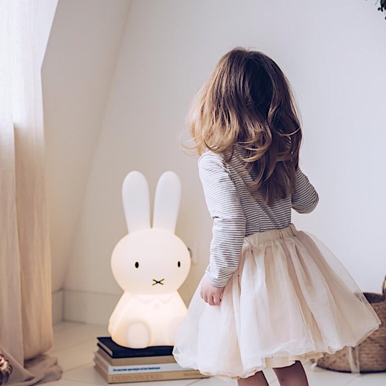 Star Light Miffy and Friends
