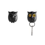 Night Owl Key - QL10195