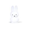 Tirelire Miffy - APMNI718