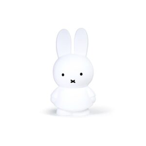 Tirelire Miffy L