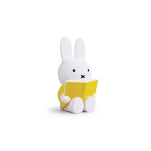 Tirelire Miffy Livre