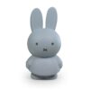 Miffy Tirelire Warm 19cm - Bleu Argenté
