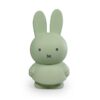 Miffy Tirelire Warm 19cm - Eucalyptus