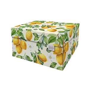 Dutch Design Storage Box - DDBSB