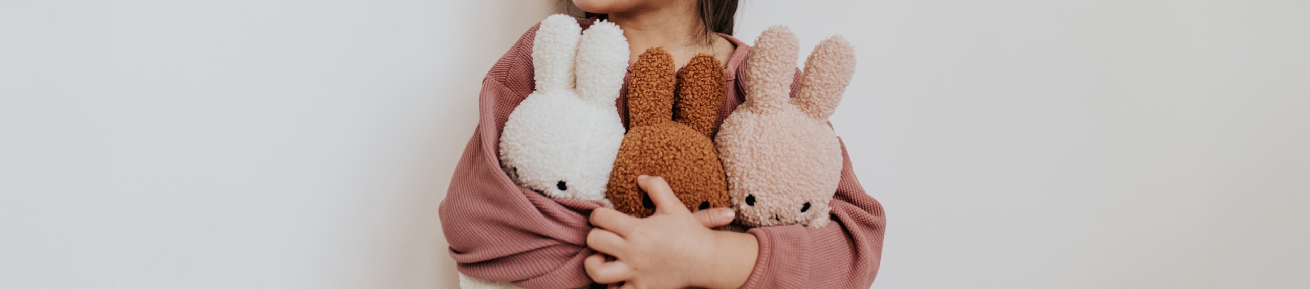 Bon Ton Toys - Miffy banner