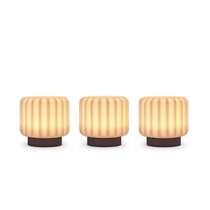 Collection Dentelles Earth