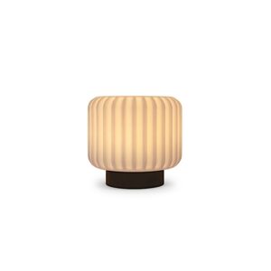 Collection Dentelles Earth