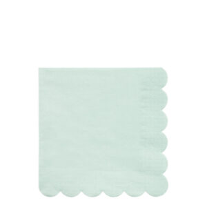 Large Mint Sorbet Paper Napkins