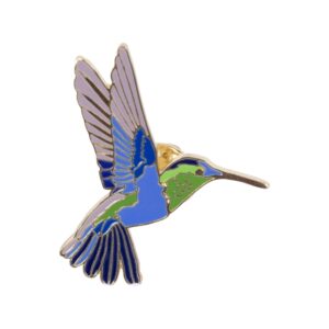 Colibri à épingle